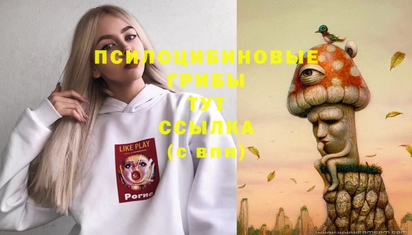 хмурый Вязники