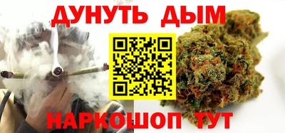 сатива Бузулук