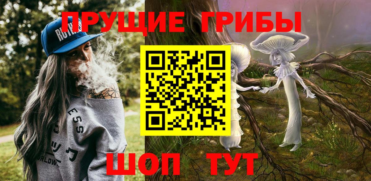 Псилоцибиновые грибы прущие грибы  Волжск 